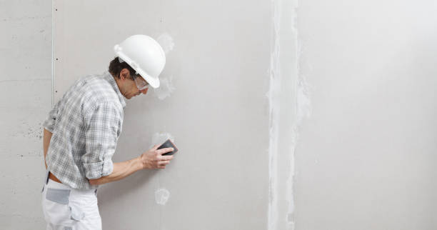 Best Real Estate Mold Inspection  in Pendergrass, GA