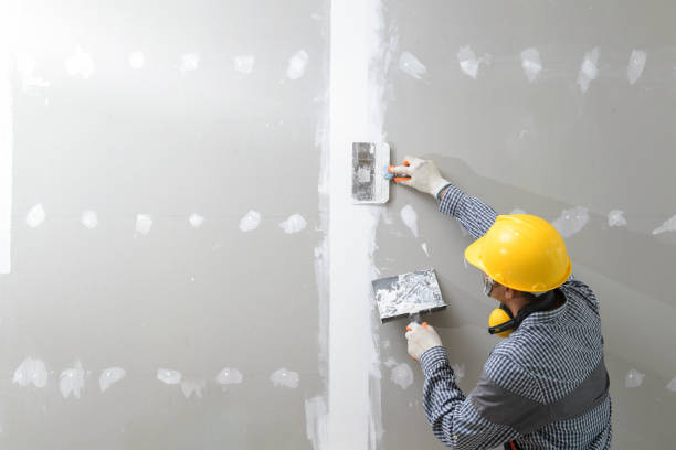 Best Emergency Mold Remediation  in Pendergrass, GA