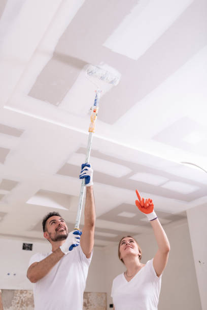Best Mold Removal for HVAC Installations  in Pendergrass, GA