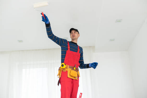 Best Mold Documentation for Insurance Claims  in Pendergrass, GA