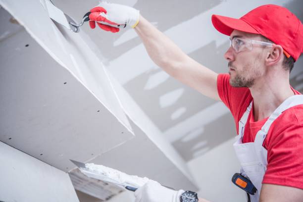 Best Residential Mold Inspection & Testing  in Pendergrass, GA