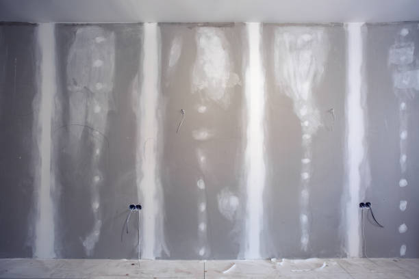Best Mold Remediation for Rental Properties  in Pendergrass, GA